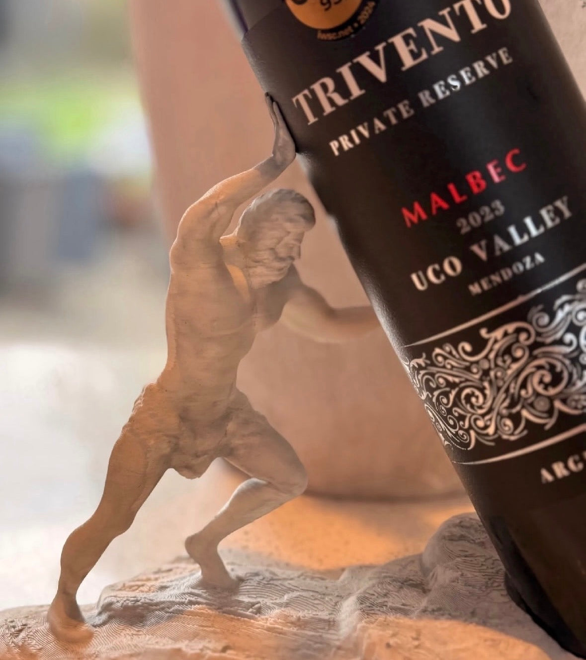 Wine bottle Holder